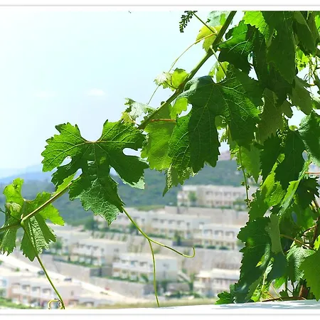 アパート Adastra Holiday Homes Bodrum Flamingo
